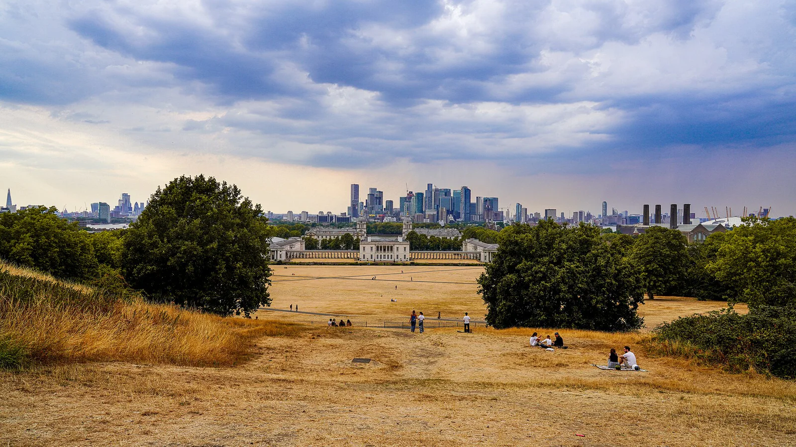 Dry grass in Greenwich Park during a heatwave with the London skyline beyond